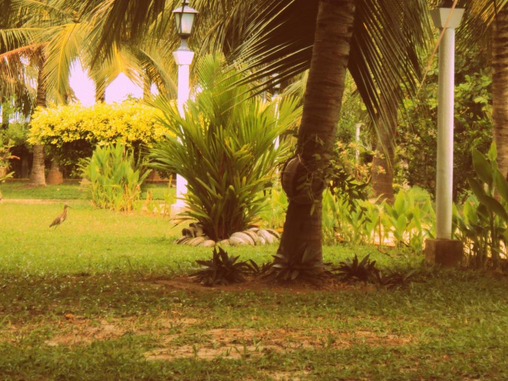 Hotel Lagoon Paradise Negombo Ngoại thất bức ảnh