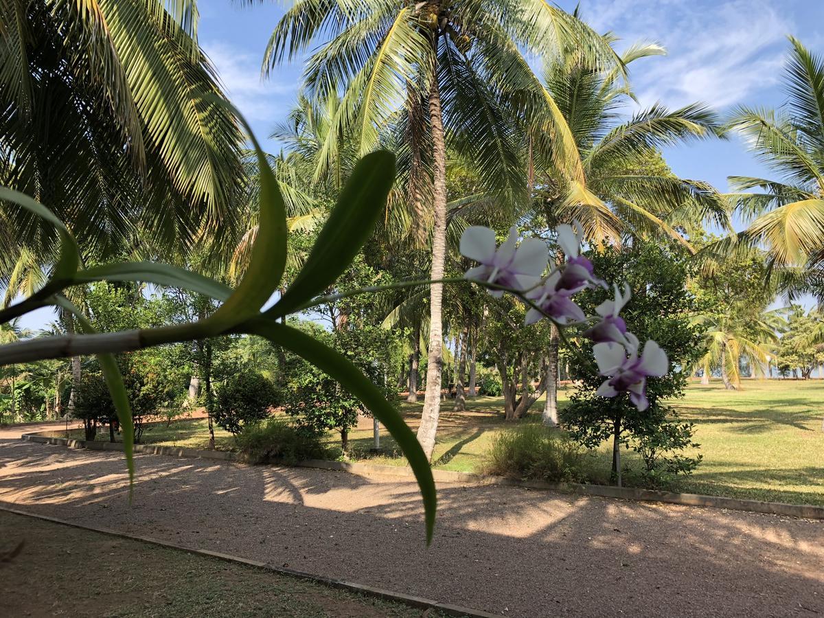 Hotel Lagoon Paradise Negombo Ngoại thất bức ảnh