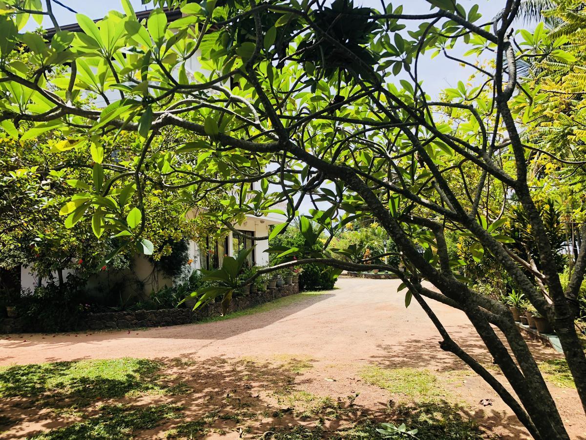 Hotel Lagoon Paradise Negombo Ngoại thất bức ảnh
