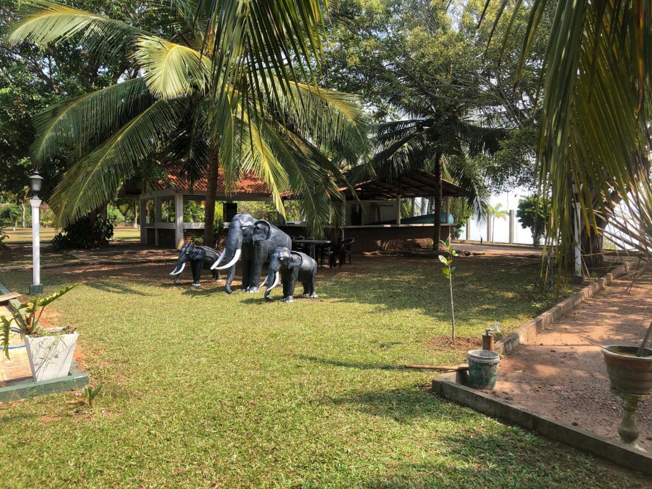 Hotel Lagoon Paradise Negombo Ngoại thất bức ảnh